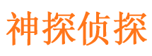 龙口市调查公司